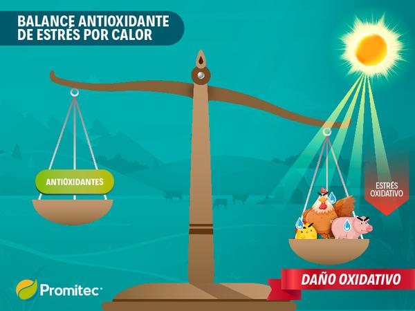 Estrés calórico en aumento para animales - Image 2