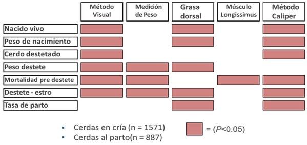 Evaluación de la condición corporal de la cerda: Uso del Caliper y su Importancia - Image 3