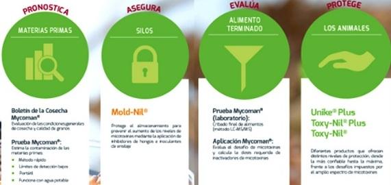 Enfoque holístico de tres pasos para mejorar la salud del tracto gastrointestinal de los animales: Parte I - Image 1