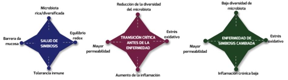 Enfoque holístico de tres pasos para mejorar la salud del tracto gastrointestinal de los animales: Parte I - Image 1