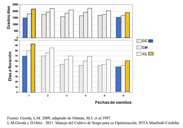 Figura 1. Variación de días y grados días a floración en sorgos de ciclo corto (CC), Intermedio CI) y largo (CL) en 6 fechas de siembra