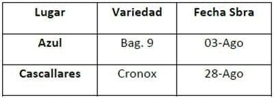 BIAGRO Prosol y BIAGRO psa en Trigo Resultados de ensayos 2010. Zona Mar y Sierras - Image 1