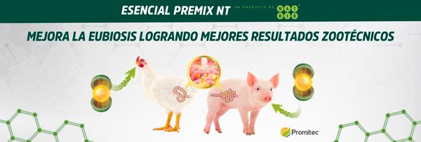 ¿Por qué Esencial Premix NT® es el modulador ideal para las empresas de la industria pecuaria? - Image 1
