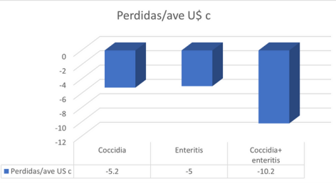 LAS AMENAZAS DE LA INTEGRIDAD INTESTINAL EN LA AVICULTURA MODERNA - Image 1