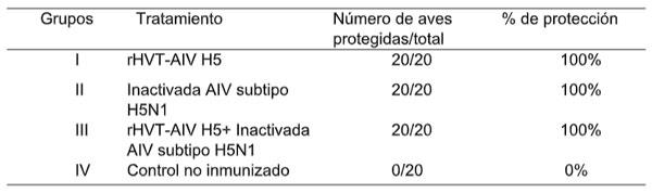 Tabla 4. Eficacia de la vacuna rHVT-AIV H5 y de la vacuna inactivada AIV subtipo H5N1 VFAR-140 contra el AIV altamente patogénico a los 21 días post-inmunización.