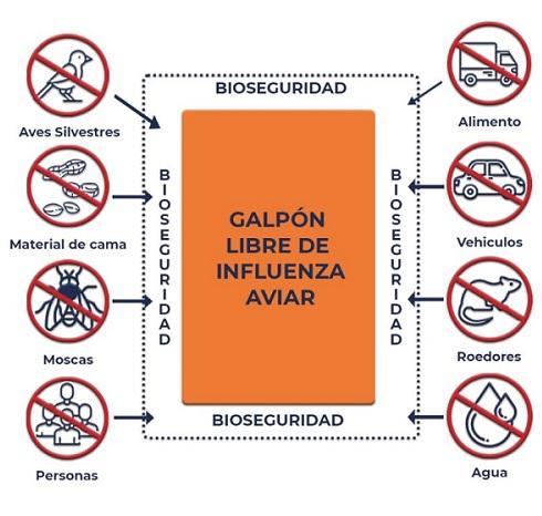 Influenza aviar - Medidas de bioseguridad en granjas de producción de aves - Image 1