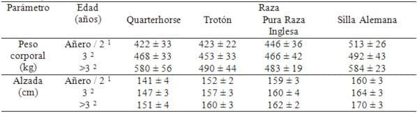 Se podrá entrenar el tendón flexor superficial en caballos? - Image 3