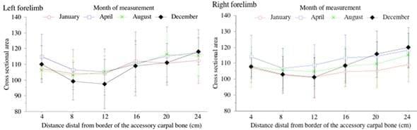 Se podrá entrenar el tendón flexor superficial en caballos? - Image 6