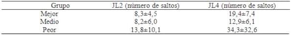 Evaluación de rendimiento equino con pruebas de salto - Image 4