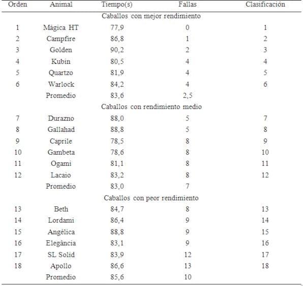 Evaluación de rendimiento equino con pruebas de salto - Image 1
