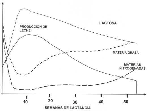 Estrategias nutricionales y alimenticias para modificar los sólidos totales de la leche - Image 1