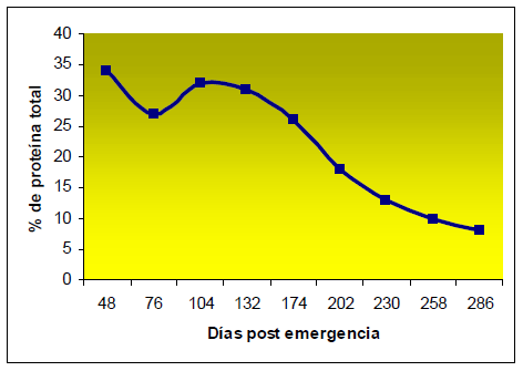 Manejo nutricional del metabolismo proteico en vacas en lactancia pastoreando praderas ricas en proteina - Image 1