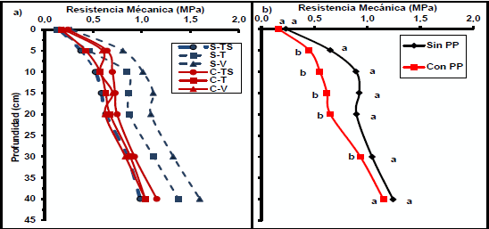 Paraplow y cultivos de cobertura: efecto sobre algunas propiedades fisicas bajo siembra directa - Image 2