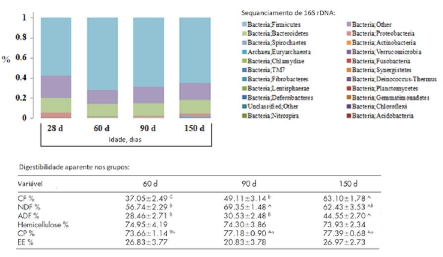Fibra: Una palabra amplia, confusa y químicamente mal definida - Image 1