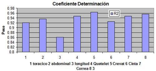 Estimacion del peso vivo de los bovinos en el Municipio de Nocupetaro, a traves del perimetro toraxico, abdominal y la longitud corporal - Image 9