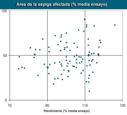 Reacción de cultivares a hongos productores de micotoxinas en maíz - Image 1