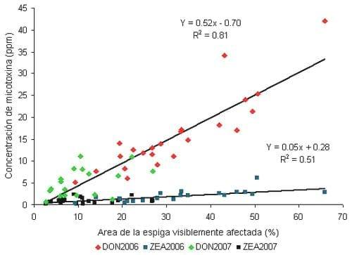 Reacción de cultivares a hongos productores de micotoxinas en maíz - Image 2