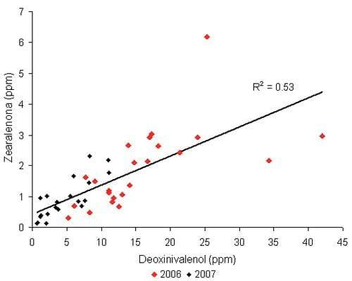 Reacción de cultivares a hongos productores de micotoxinas en maíz - Image 3