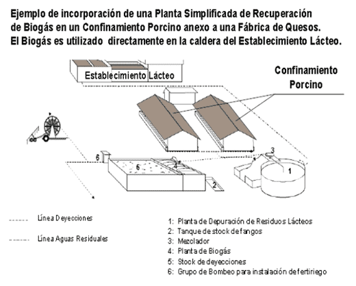 Produccion de Biogas – Plantas Centralizadas y Simplificadas - Image 13