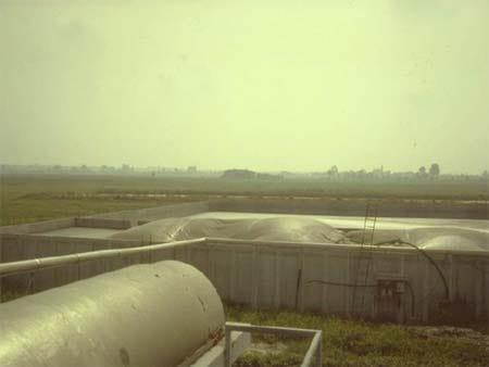 Produccion de Biogas – Plantas Centralizadas y Simplificadas - Image 14
