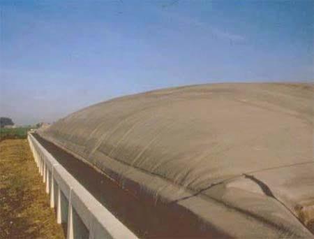 Produccion de Biogas – Plantas Centralizadas y Simplificadas - Image 16