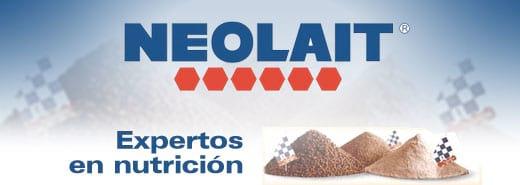 Hipoglucemia y deshidrataciones en lechones - Image 1
