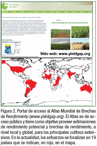 Atlas Mundial de Brechas de Rendimiento: Trigo, soja y maíz en Argentina - Image 2