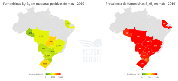 Micotoxinas en maíz: Brasil año 2019 - Image 6