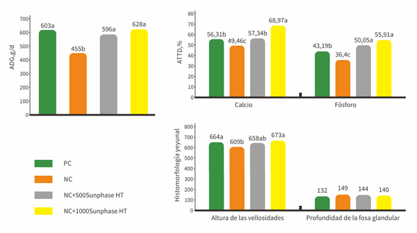  Sunphase HT mejoró significativamente el rendimiento del crecimiento del lechón