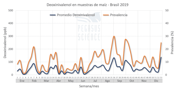 Micotoxinas en maíz: Brasil año 2019 - Image 7