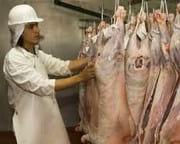 Factibilidad de aumentar el peso de faena. Respuesta económica y calidad de carne - Image 1