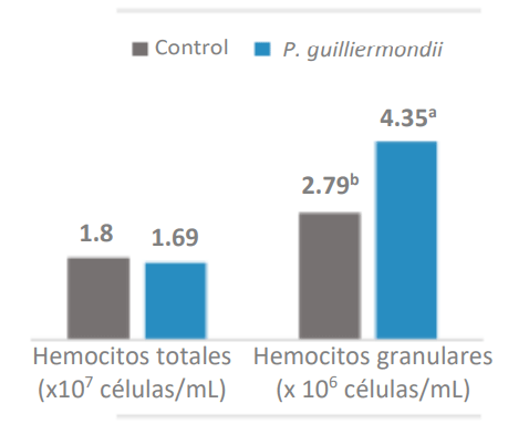 Figura 1. Número de hemocitos granulares y hemocitos totales en camarones en el grupo de control y suplementado