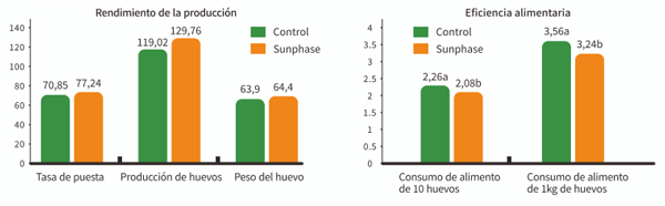 Sunphase HT mejoró significativamente el rendimiento de producción de las gallinas ponedoras