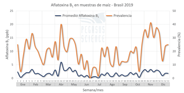 Micotoxinas en maíz: Brasil año 2019 - Image 3