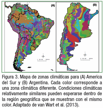 Atlas Mundial de Brechas de Rendimiento: Trigo, soja y maíz en Argentina - Image 3