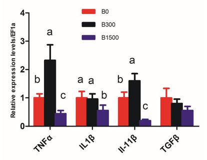 Citocinas proinflamatorias Citocinas antiinflamatorias Figura 2 Efecto de los ácidos biliares sobre los niveles de expresión de genes relacionados con la inflamación en el hígado de la lobina negra
