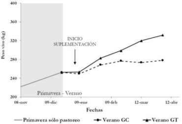 Figura 1.Evolución de peso vivo de novillos lecheros de grupo control (GC) y tratamiento (GT) durante el periodo de primavera y verano.