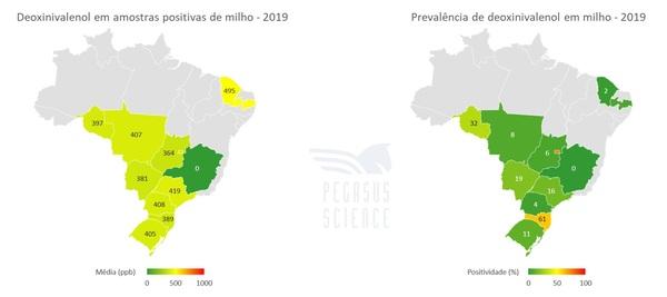 Micotoxinas en maíz: Brasil año 2019 - Image 8