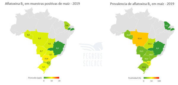 Micotoxinas en maíz: Brasil año 2019 - Image 4