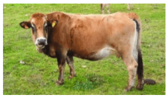 Necesidades en Minerales y Vitaminas en Vacas de Campo - Image 3