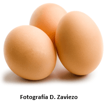 Como mejorar la calidad del huevo - Image 1