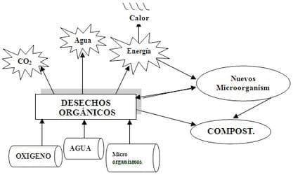 Los abonos orgánicos, alternativa en la gestión de la fertilidad de los suelos - Image 5