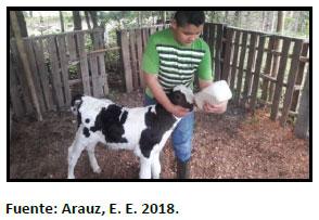 Sectores críticos en el ciclo de vida de la hembra bovina tipo leche; cuidados biotécnicos y manejo para el buen desarrollo, salud, bienestar y productividad - Image 10