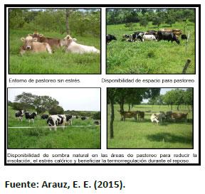 Sectores críticos en el ciclo de vida de la hembra bovina tipo leche; cuidados biotécnicos y manejo para el buen desarrollo, salud, bienestar y productividad - Image 16