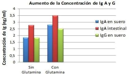 Utilización de aminoácidos condicionalmente esenciales en dietas iniciales de aves: Glutamina y ácido glutámico - Image 3