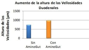 Utilización de aminoácidos condicionalmente esenciales en dietas iniciales de aves: Glutamina y ácido glutámico - Image 6