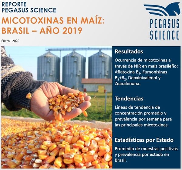 Micotoxinas en maíz: Brasil año 2019 - Image 1