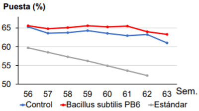 Efecto de la suplementación de Bacillus subtilis PB6 en los parámetros productivos de reproductoras pesadas - Image 3