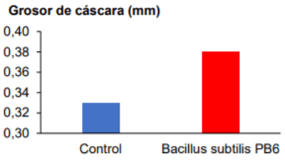 Efecto de la suplementación de Bacillus subtilis PB6 en los parámetros productivos de reproductoras pesadas - Image 4