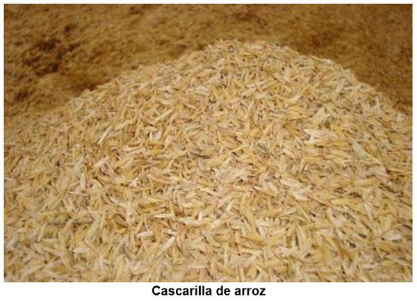 Criterios técnicos que limitan el uso de la cascarilla de arroz en la alimentación animal - Image 3